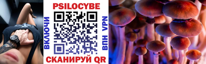 hydra вход  Юрьевец  Псилоцибиновые грибы GOLDEN TEACHER 